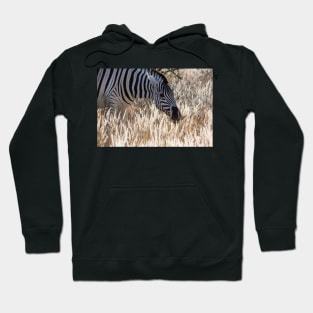 Zebra portrait. Hoodie